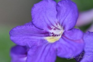 DSC_0004