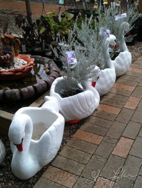 These ugly ducklings grew up into ugly swan pots...