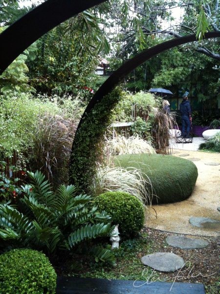 Bondi garden designed by Brendan Moar