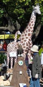 Animal Sculptures