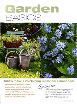 Spring Garden Basics intro