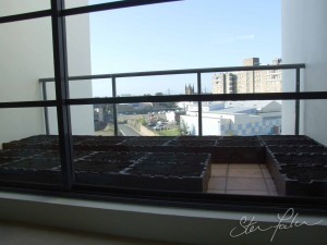 Front Balcony with boxes